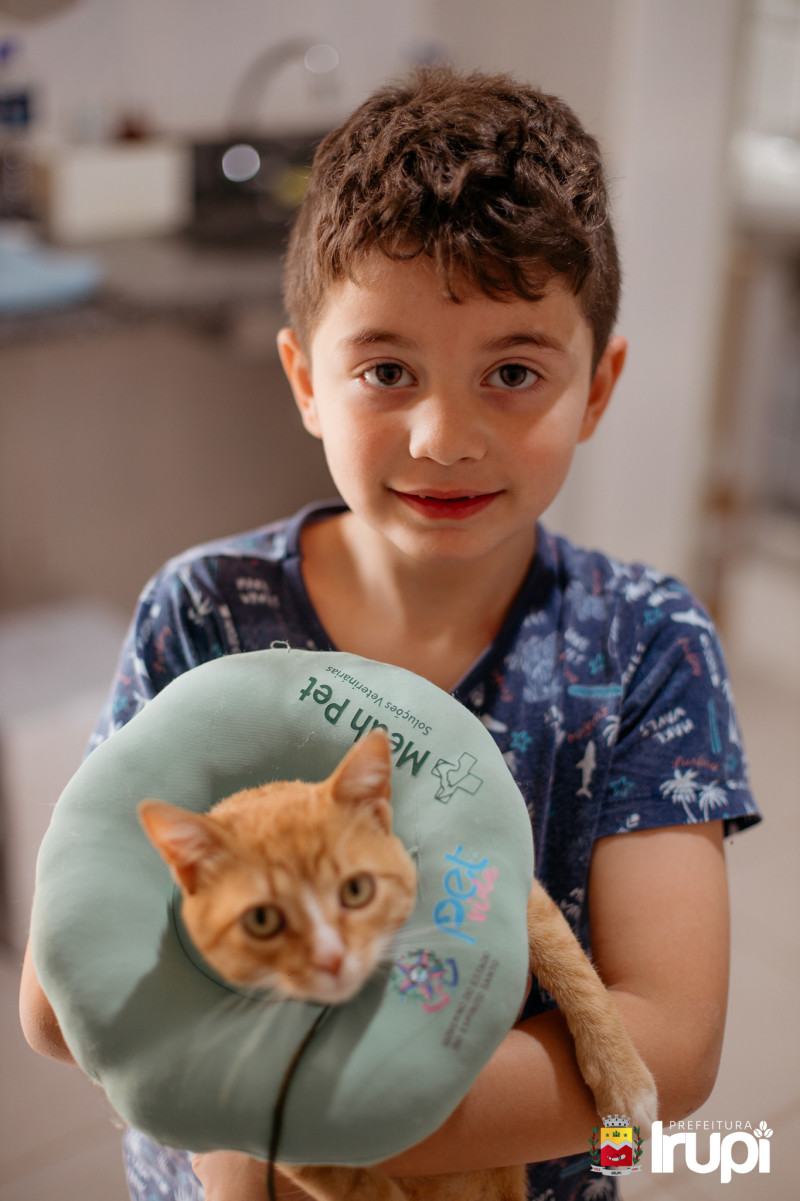 Dia D - Vacinação Antirrábica