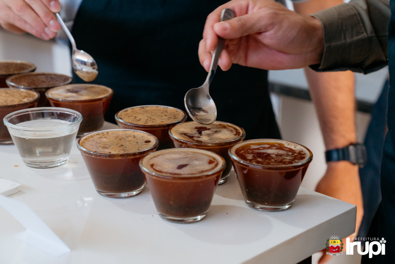Etapa de Provas - Concurso de qualidade de Café Arábica 2026