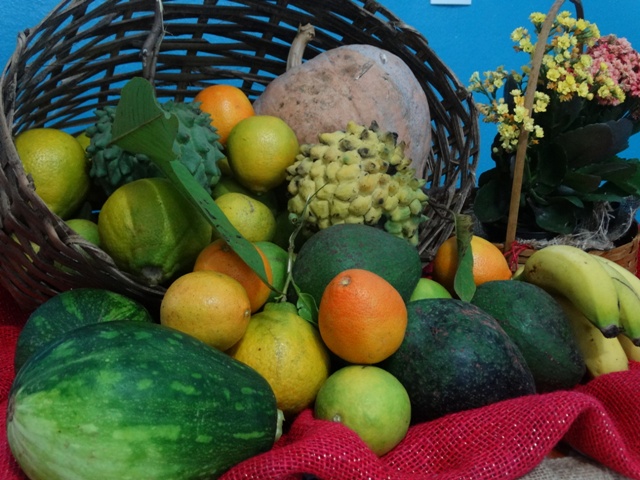 Encontro de Família promove palestra sobre Alimentação Segura e Saudável