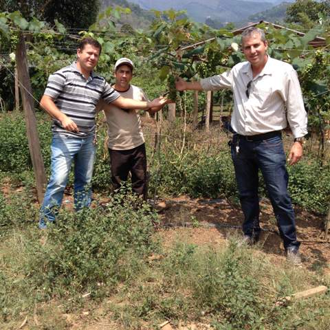 Diversificação na Agricultura