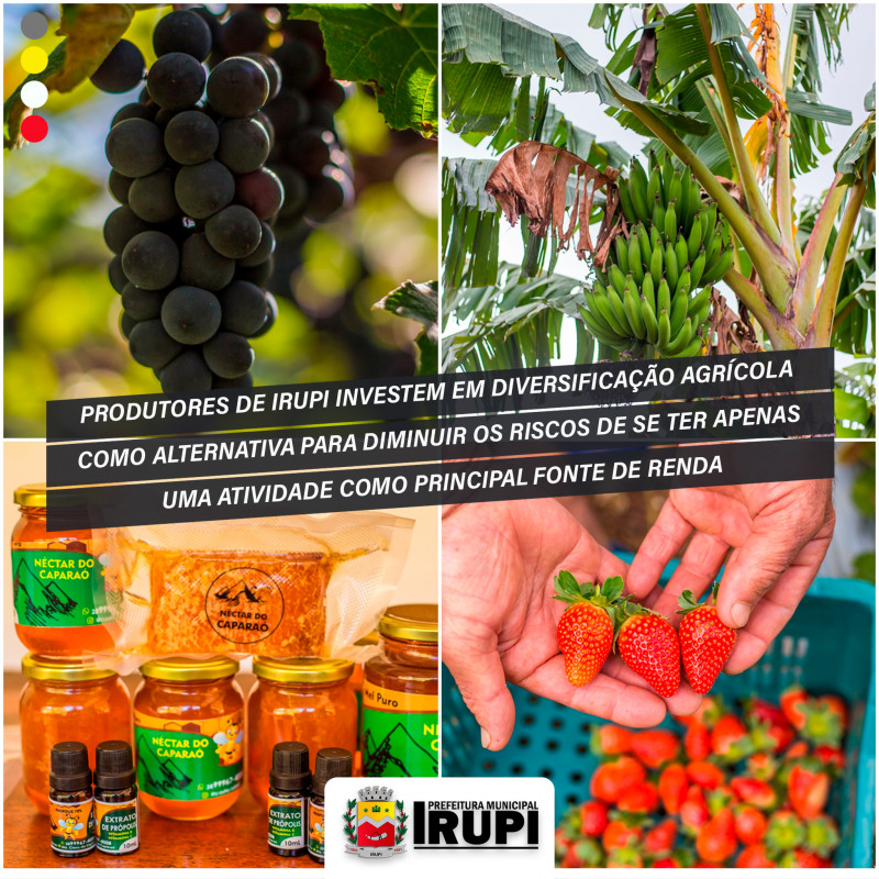 Produtores Rurais investem em Diversificação Agrícola em Irupi