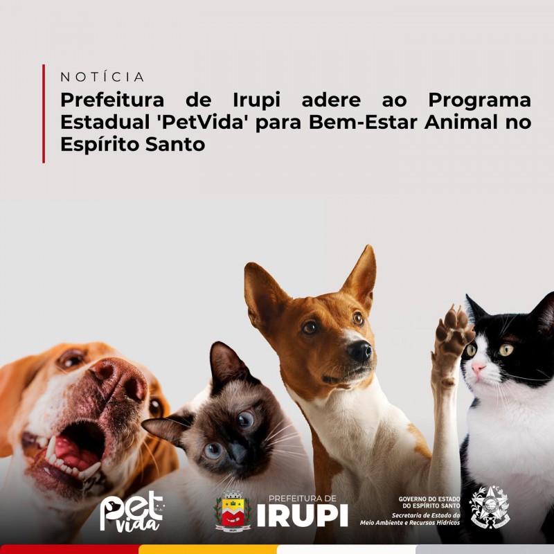 Prefeitura de Irupi adere ao Programa Estadual 'PetVida' para Bem Estar Animal no Espírito Santo