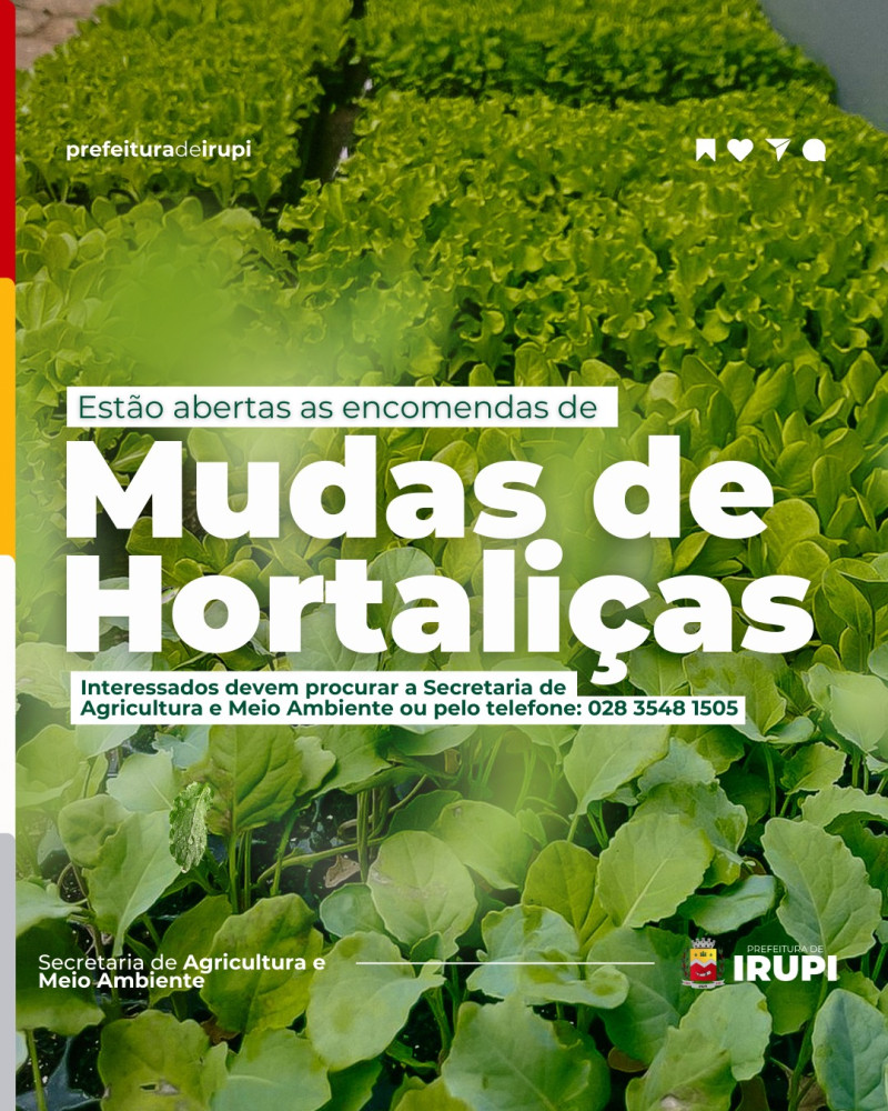 Abertas Encomendas de Mudas de Hortaliças na Secretaria de Agricultura e Meio Ambiente