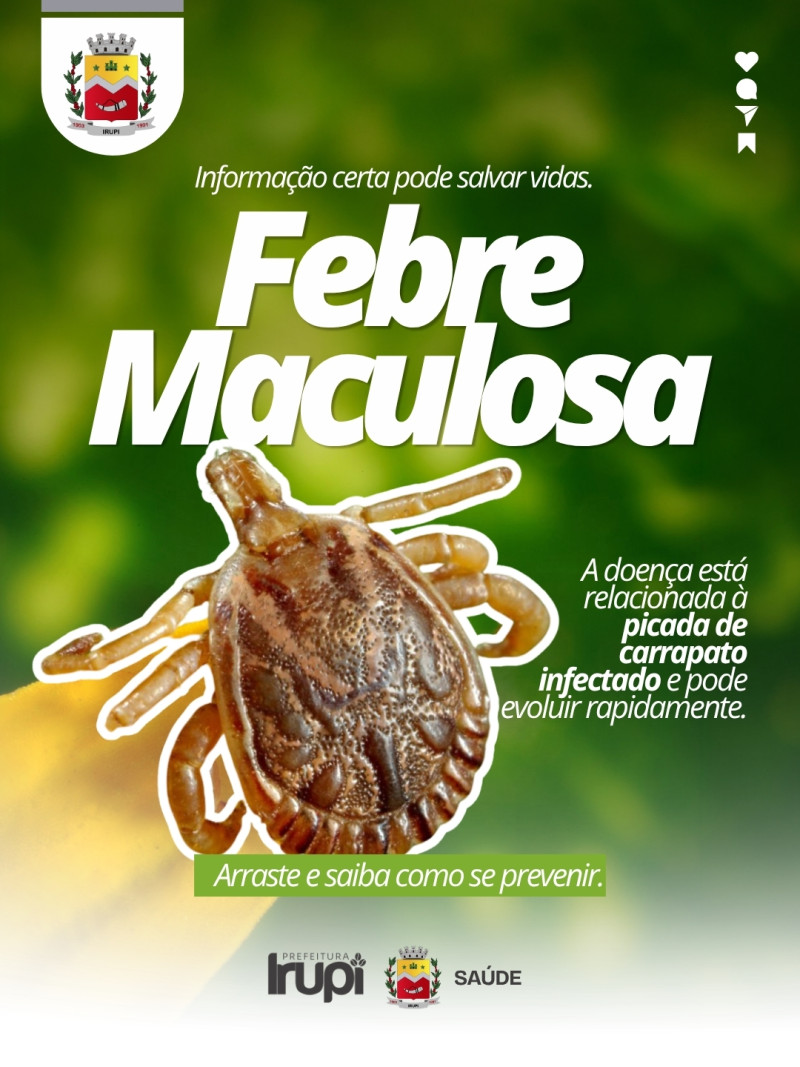Febre maculosa: informação certa protege vidas